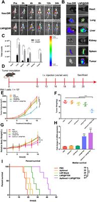 IL-23 inhibitor enhances the effects of PTEN DNA-loaded lipid nanoparticles for metastatic CRPC therapy